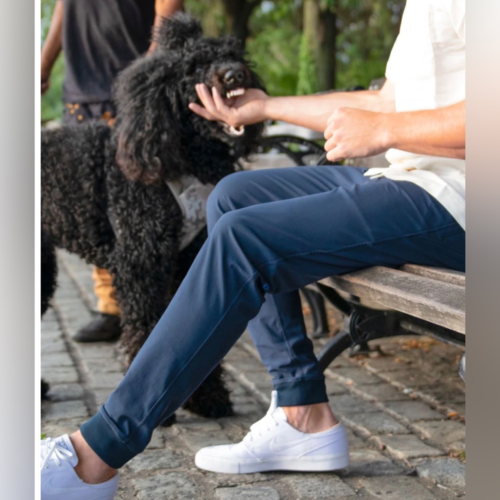 NEW Birddogs Gabe Ruths Jogger Pants - Picture 2 of 15